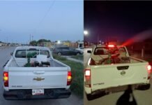 Refuerzan labores contra el dengue en Nuevo Laredo