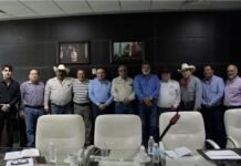 Analizan diversificacion de la producción agrícola en Tamaulipas