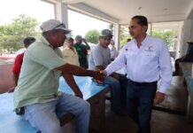Dan seguimiento a proyectos de granjas de ostión en Barra del Tordo