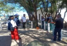 Tamaulipas realiza intercambio técnico para conservación de tortuga lora