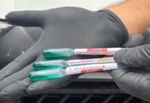 Unen esfuerzos para reforzar sanidad pecuaria en Tamaulipas