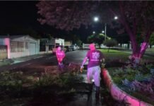 Van 120 árboles caídos por tormentas en Nuevo Laredo