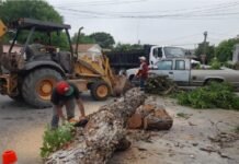 Fuertes ráfagas de viento generaron afectaciones en Nuevo Laredo