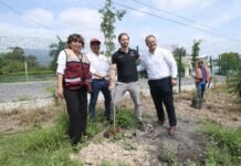 Plantan 300 árboles donados por WalMart