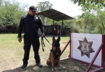 Binomios K-9 de la GE mantienen la cercanía con la ciudadanía