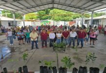 Llevan a cabo jornadas de reforestación en el Día Mundial del Medio Ambiente