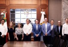 Tamaulipas líder en energías renovables