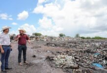 Exploran oportunidades de producción y desarrollo de bioenergía