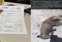 Dan seguimiento legal a presunto caso de maltrato animal en Matamoros