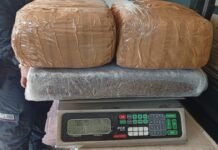 Incautan en Díaz Ordaz droga y ponchallantas