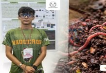Estudiante de la UAT desarrolla prototipo con IA para optimizar lombricultura