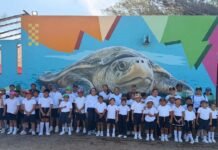 Llevan a cabo nueva jornada de liberación de crías de tortuga lora