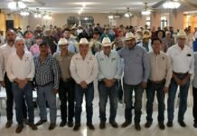 Continúa impulso al Programa de Mejoramiento Genético