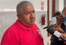 Se registran gran presencia de enjambres de avispas en el sur del estado
