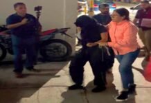 Imputan feminicidio a Danna por caso Dafne