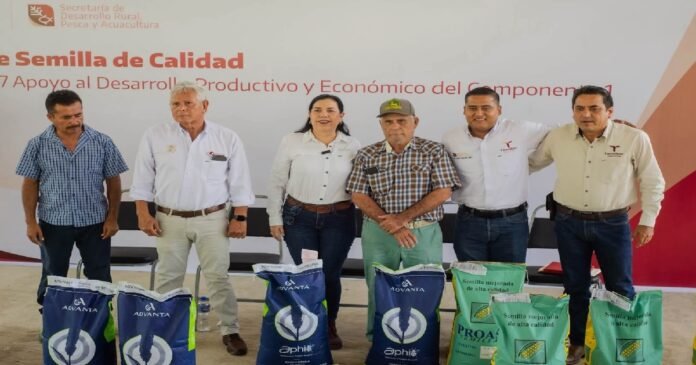SRU-112-2026.-Fortalece Tamaulipas la producción agrícola con apoyos de semilla certificada (6)
