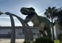 Consolidan Programa de Turismo Social en Tamaulipas