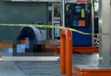 Un muerto y siete personas lesionadas por ataque de abejas
