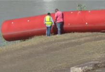 Boyas arrastradas se acumulan en la ribera del río Bravo tras aumento del nivel del afluente