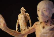 Llega exposición internacional The Bodies a Tampico
