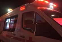 Ataque de perro deja una adulta mayor lesionada y una mascota muerta