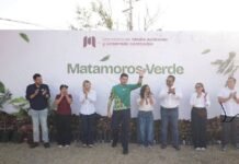 Matamoros se suma a Jornada Nacional de Reforestación impulsada por la presidenta Claudia Sheinbaum