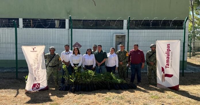 SRU-121-2026.-Entrega Gobierno de Tamaulipas 200 árboles al 77o Batallón de Infantería (2)