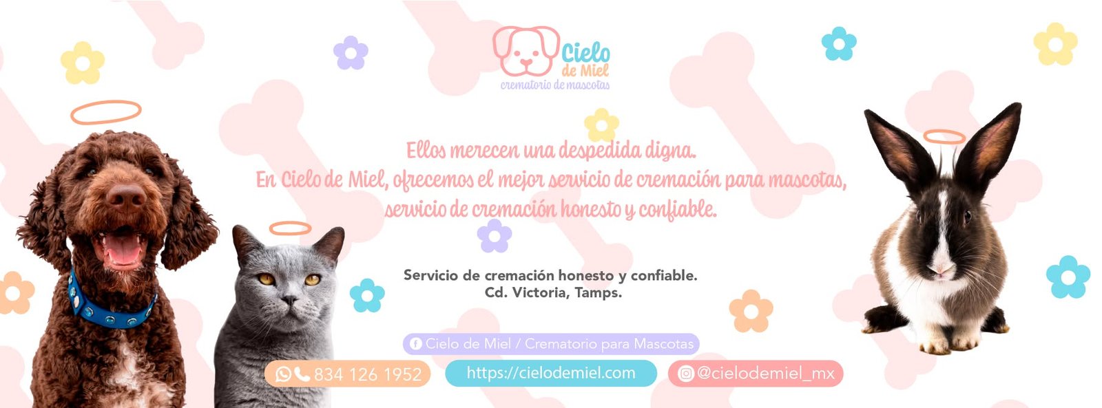 Portada de Cielo de Miel — Crematorio para Mascotas